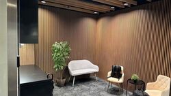 PLUS (D1), Office #568050341